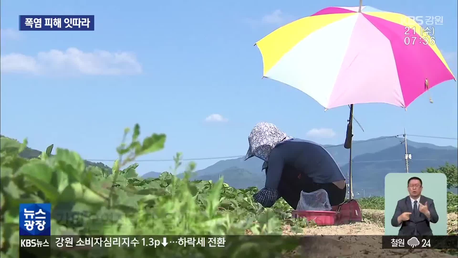 사상 최악의 폭염…온열질환·가축폐사 잇따라