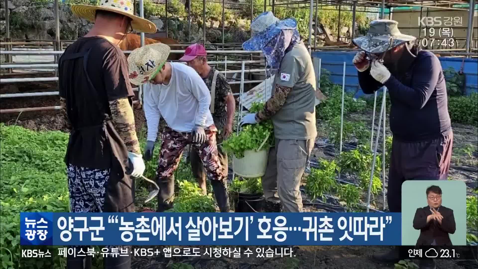 양구군 “‘농촌에서 살아보기’ 호응…귀촌 잇따라”