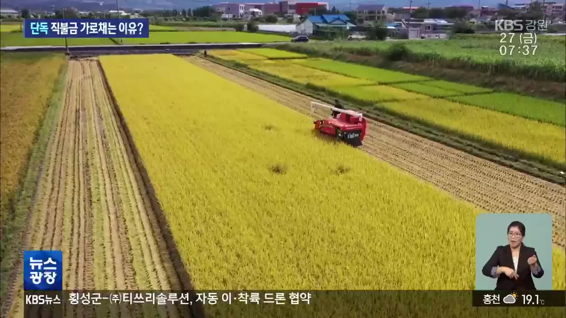 직불금 땅 주인들, 왜 이렇게까지?…“양도세 면제까지 노려”