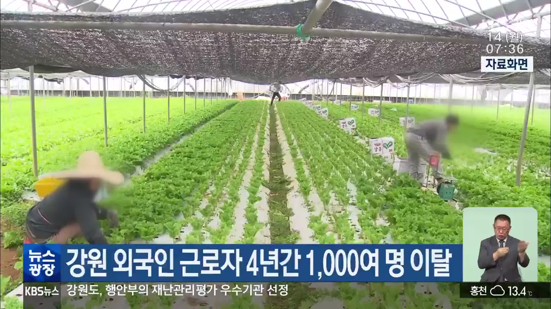 강원 외국인 근로자 4년간 1,000여 명 이탈