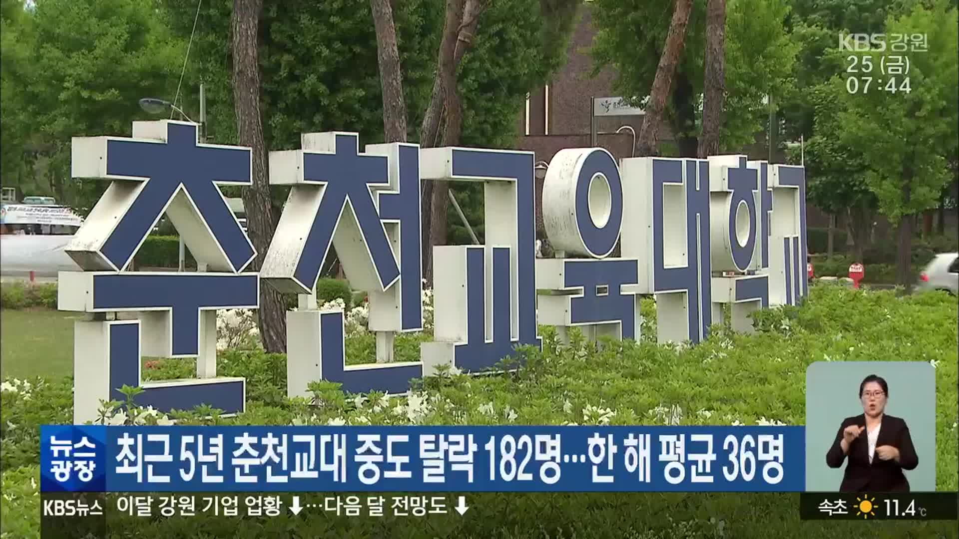 최근 5년 춘천교대 중도 탈락 182명…한해 평균 36명