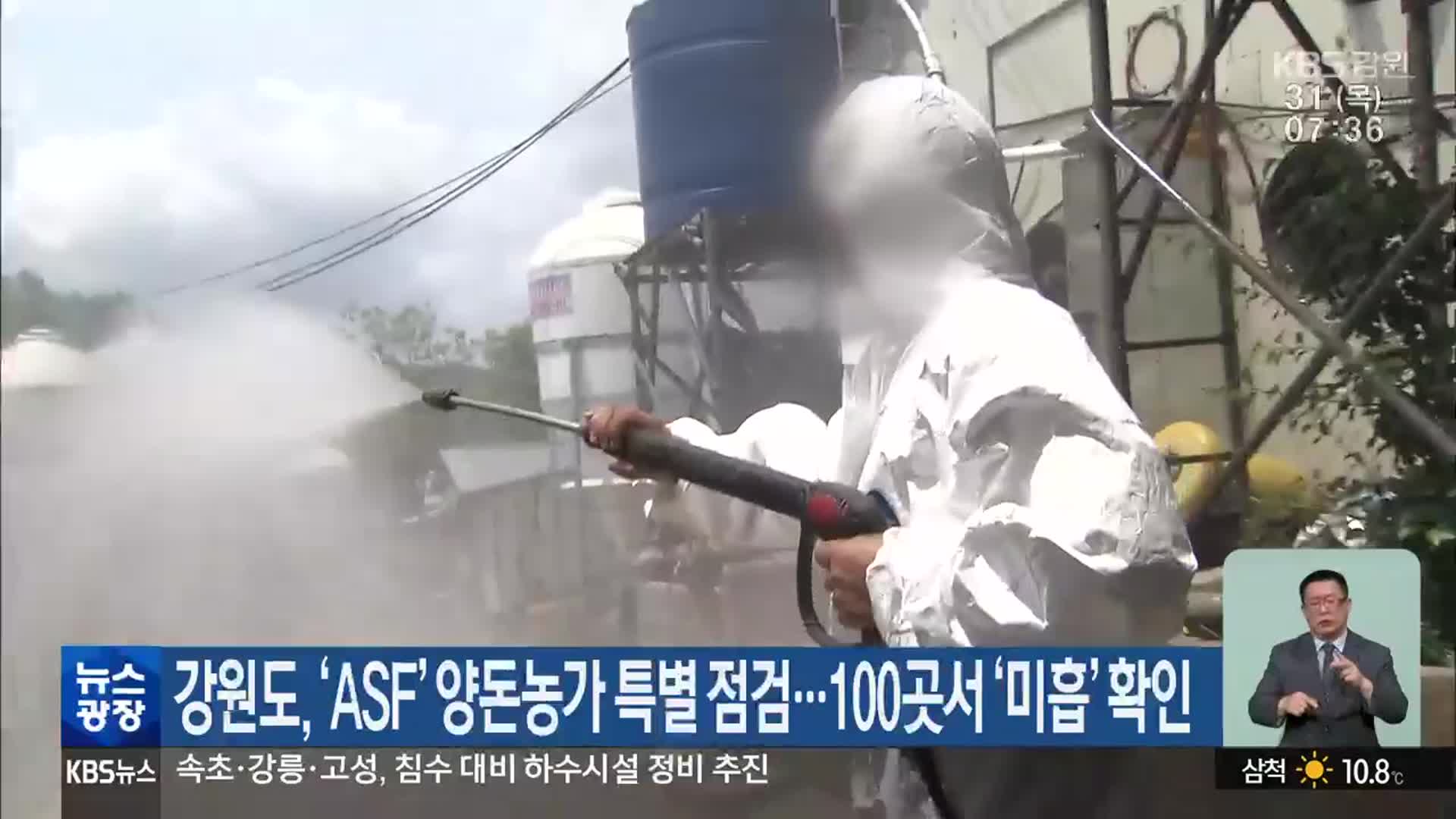 강원도, ‘ASF’ 양돈농가 특별 점검…100곳서 ‘미흡’ 확인