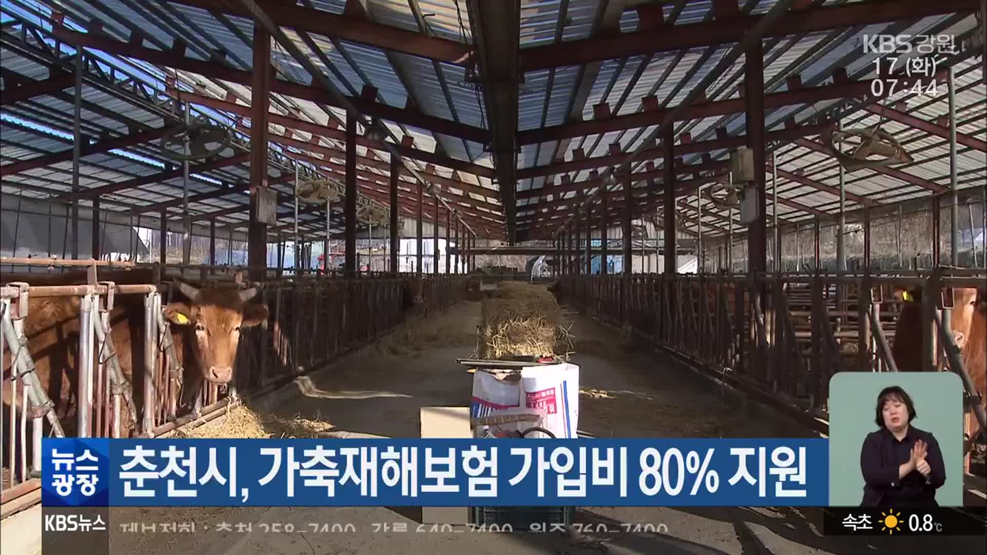 춘천시, 가축재해보험 가입비 80% 지원