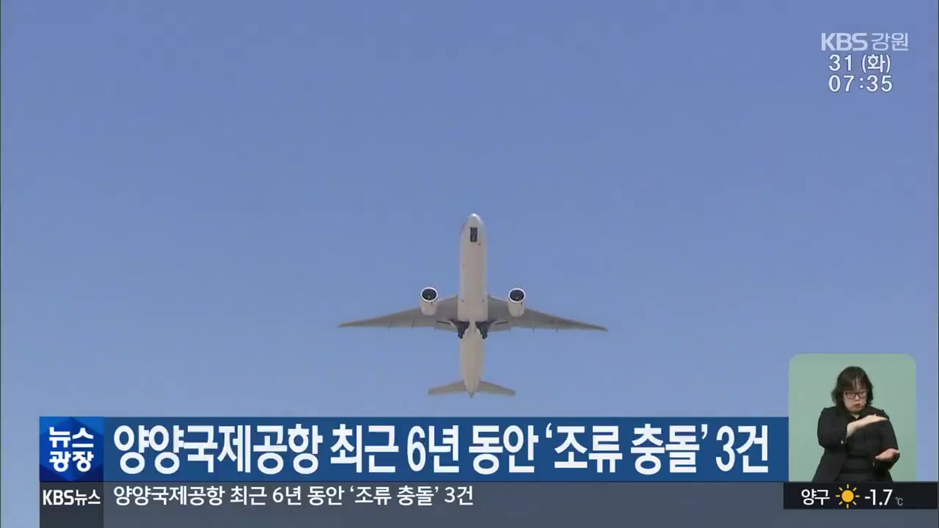 양양국제공항 최근 6년 동안 ‘조류 충돌’ 3건