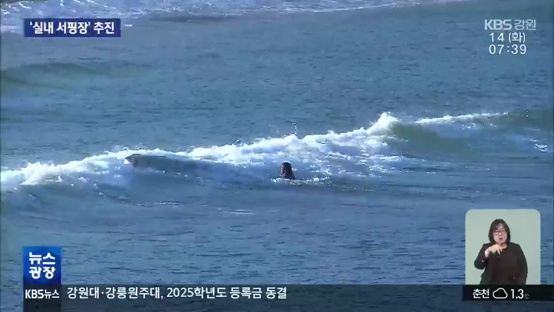 겨울만 되면 썰렁…양양군, ‘실내 서핑장’ 추진