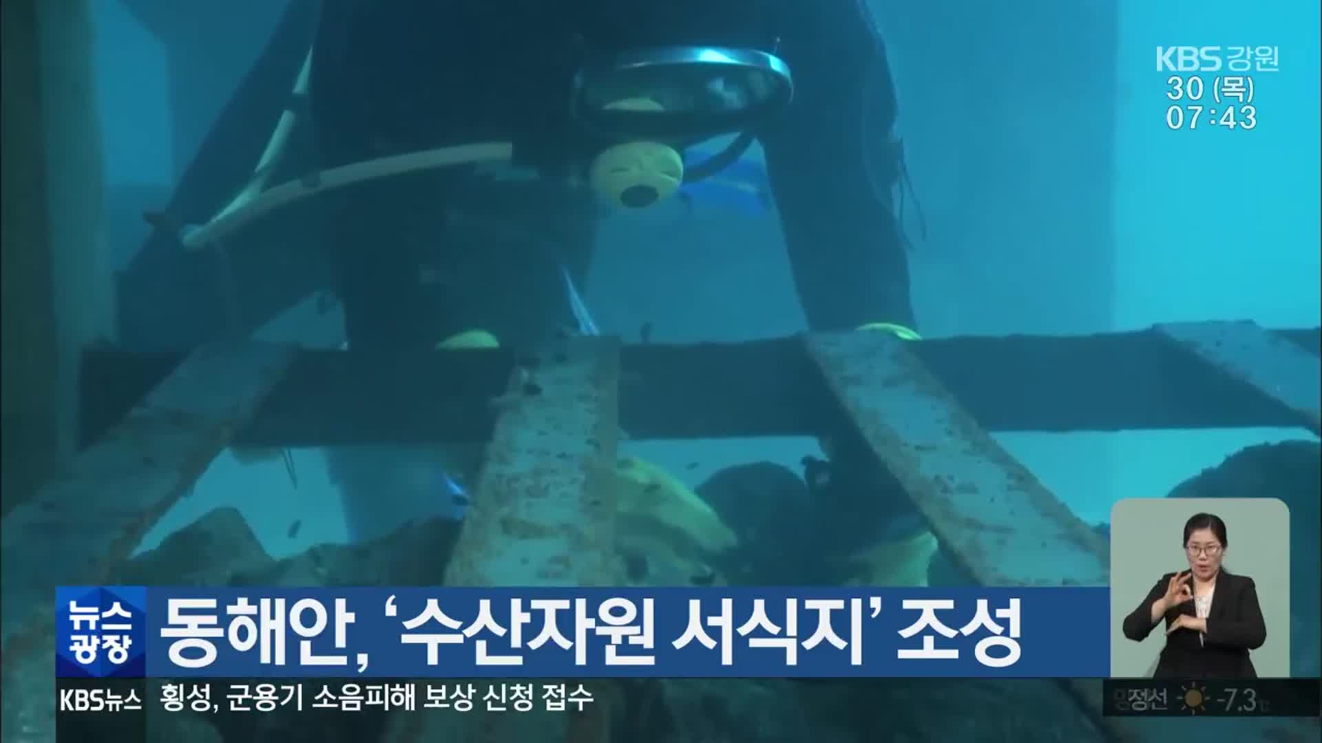 동해안, ‘수산자원 서식지’ 조성