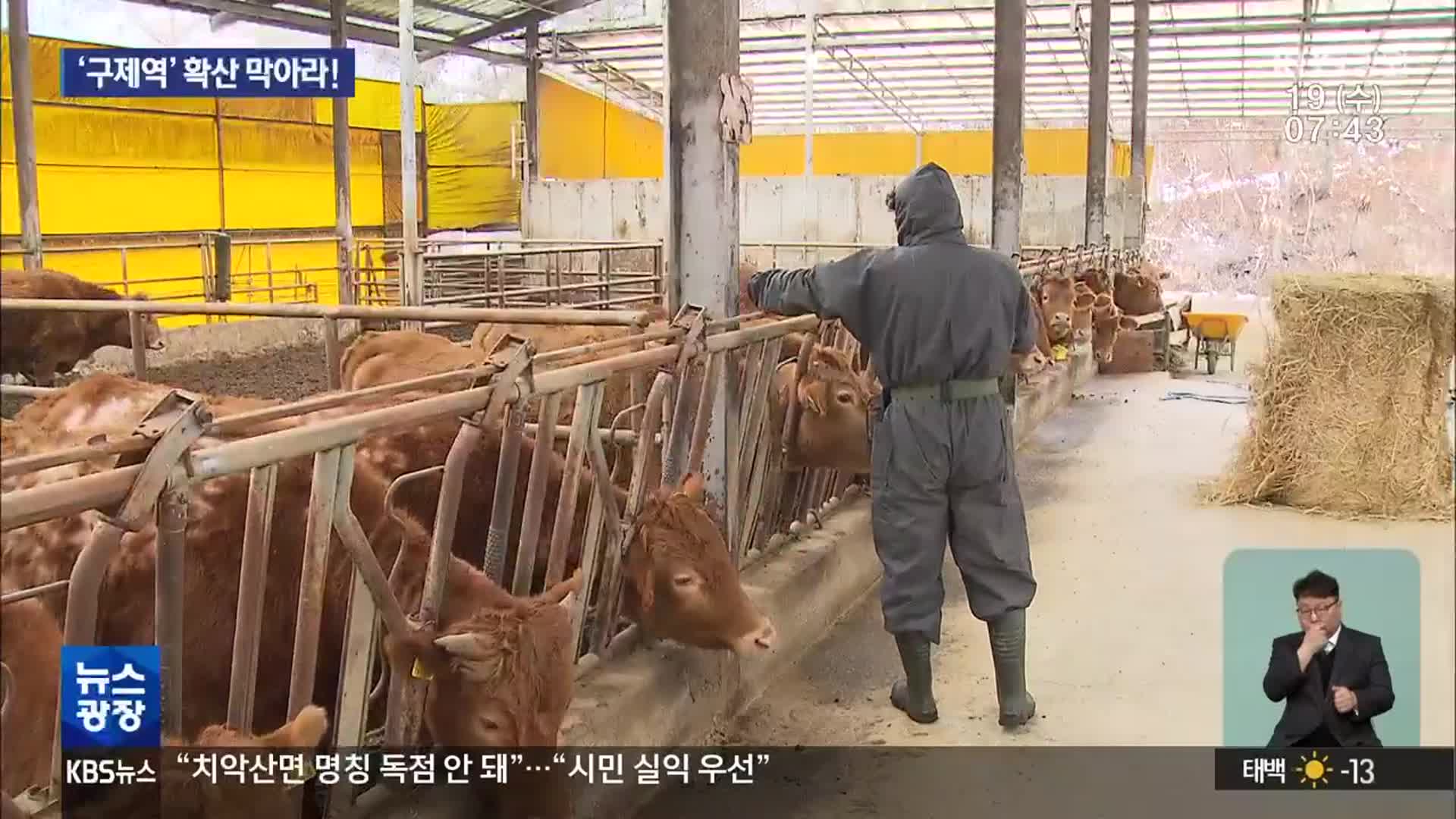 전남 구제역 발생에 ‘비상’…“이달 안에 접종 완료”