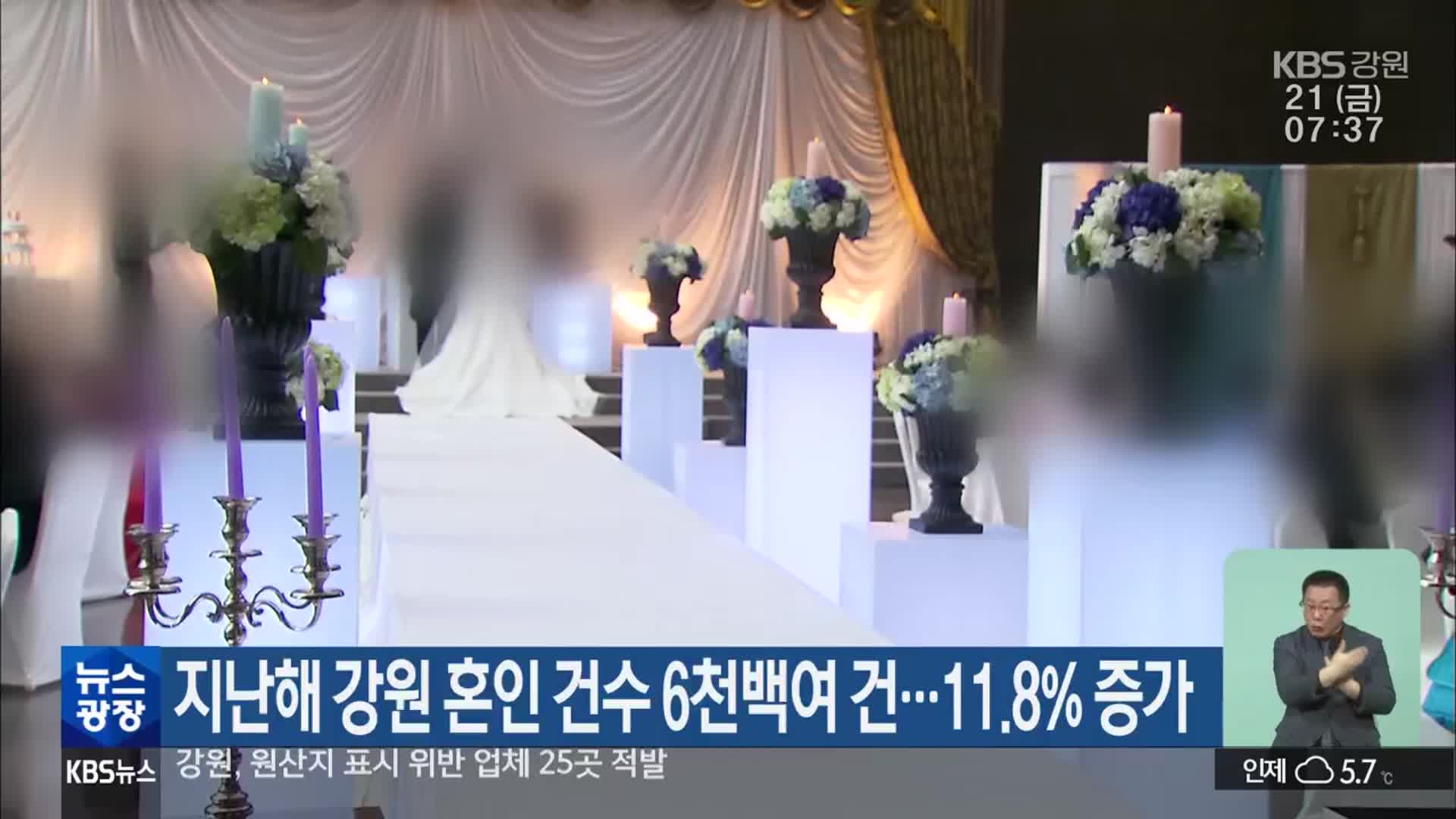 지난해 강원 혼인 건수 6천백여 건…11.8% 증가