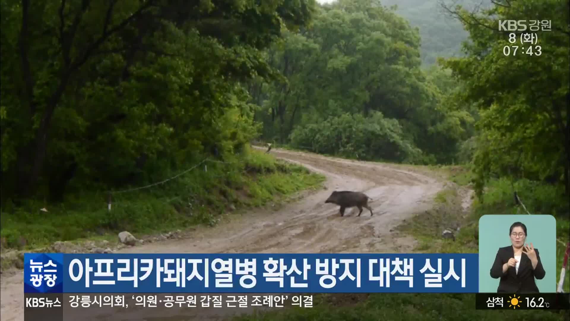 아프리카돼지열병 확산 방지 대책 실시