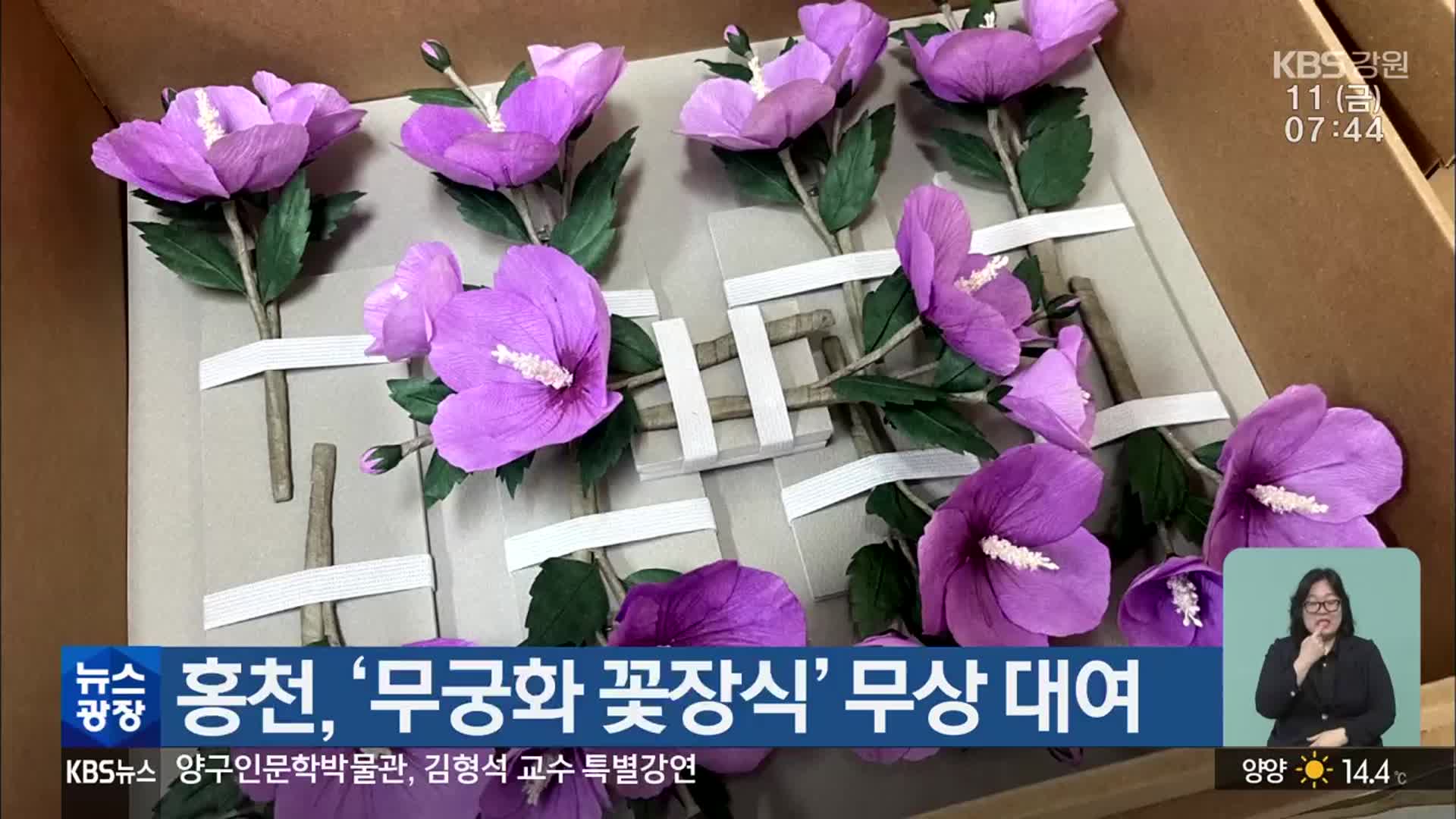홍천, ‘무궁화 꽃장식’ 무상 대여