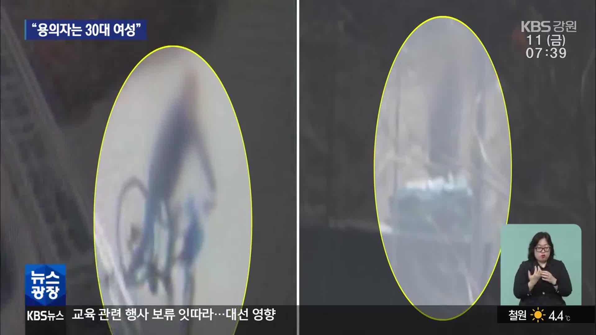산불 위험 초비상인데…5차례 방화 덜미