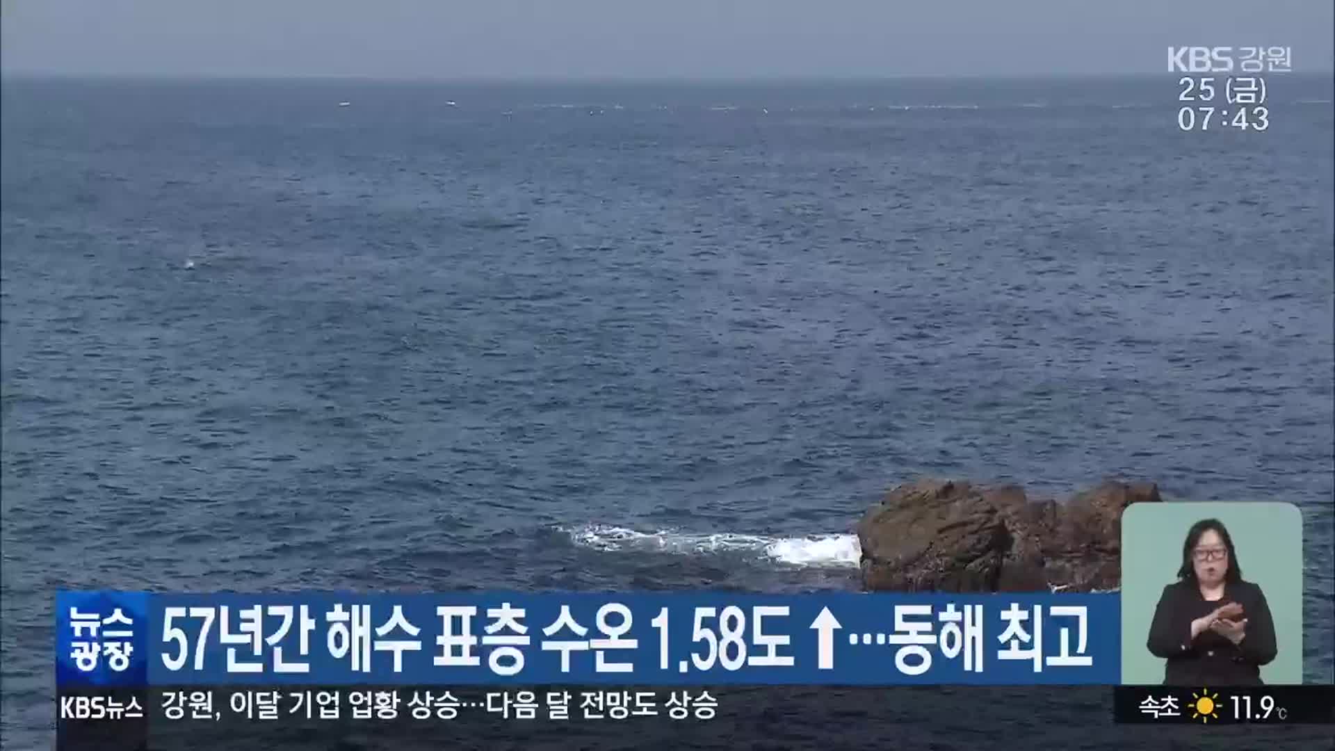 57년간 해수 표층 수온 1.58도↑…동해 최고