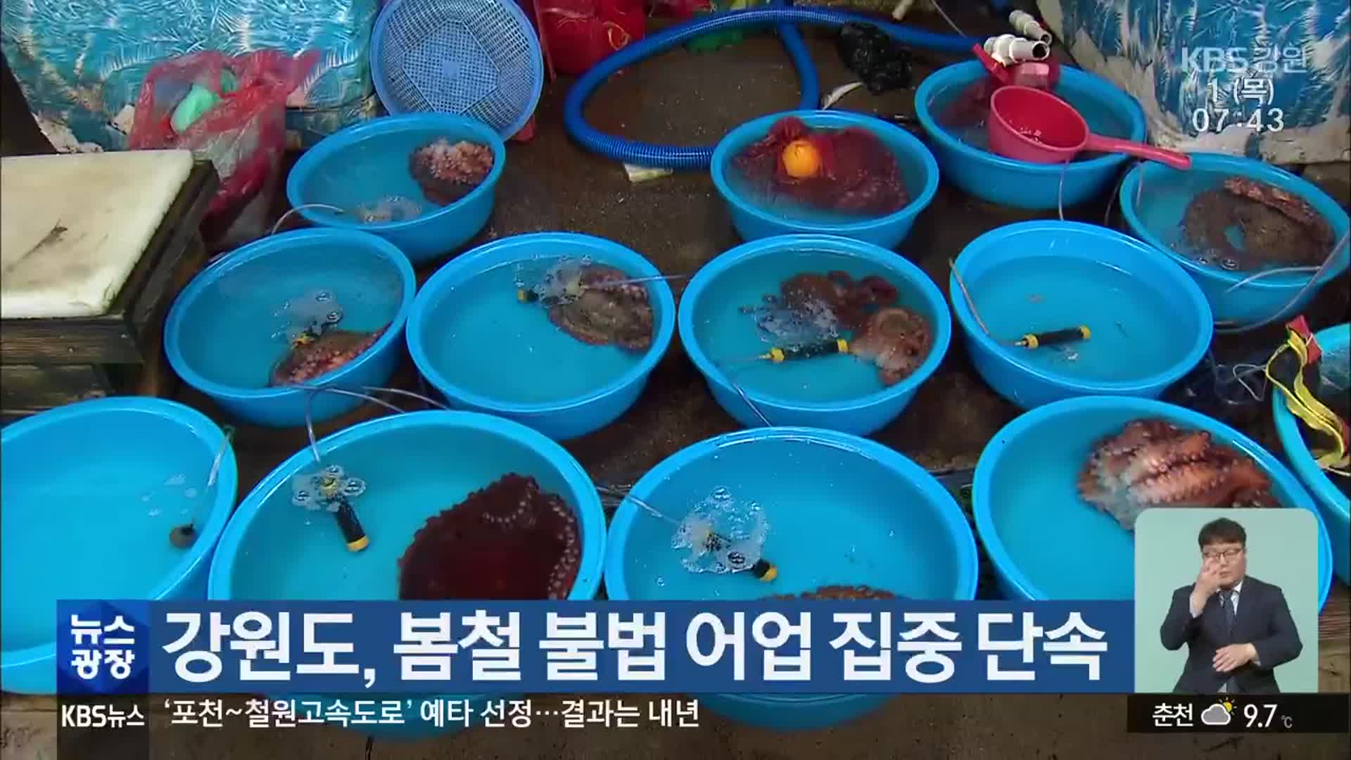 강원도, 봄철 불법 어업 집중 단속