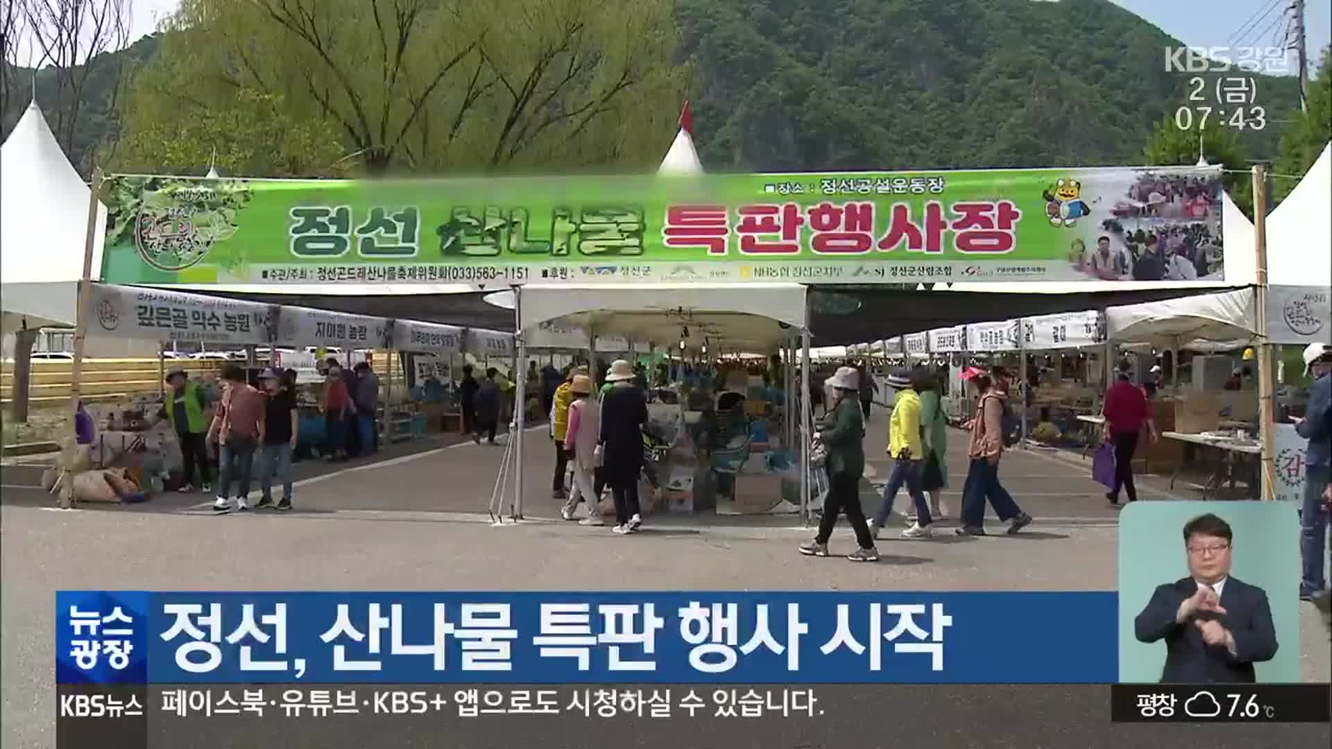 정선, 산나물 특판 행사 시작