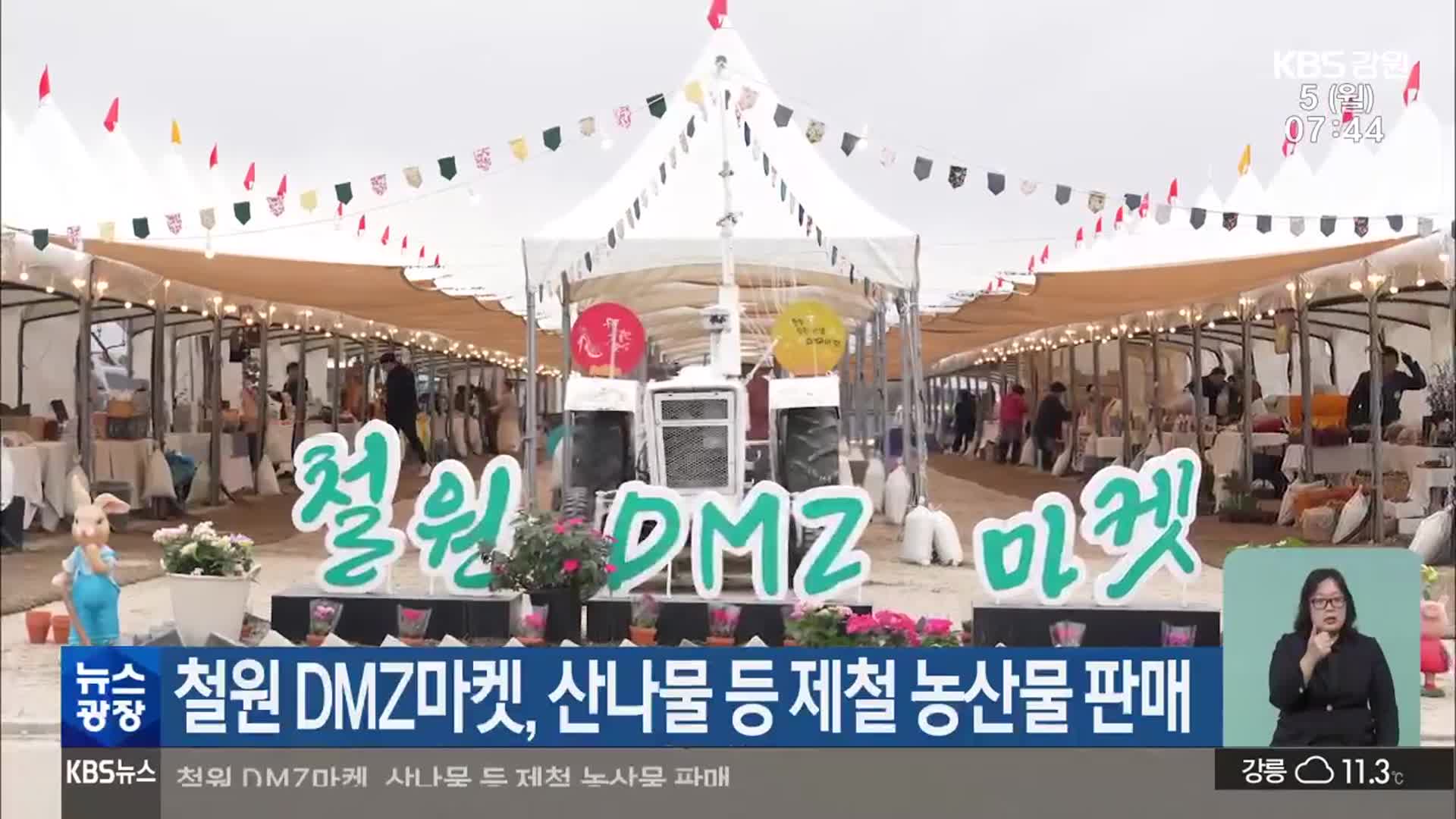 철원 DMZ마켓, 산나물 등 제철 농산물 판매