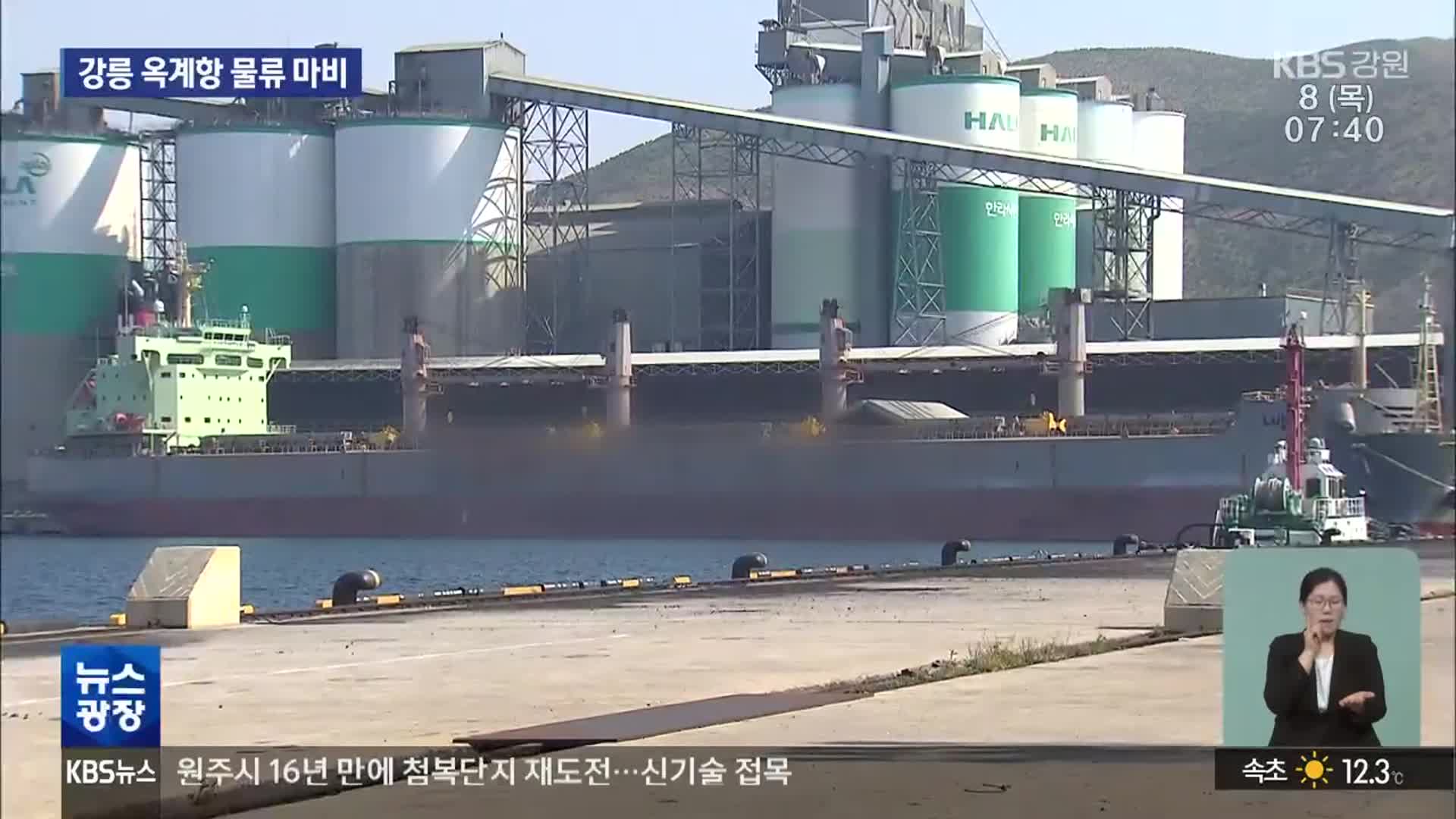 옥계항 컨테이너 물류 마비…마약 적발 선박 언제 떠나나