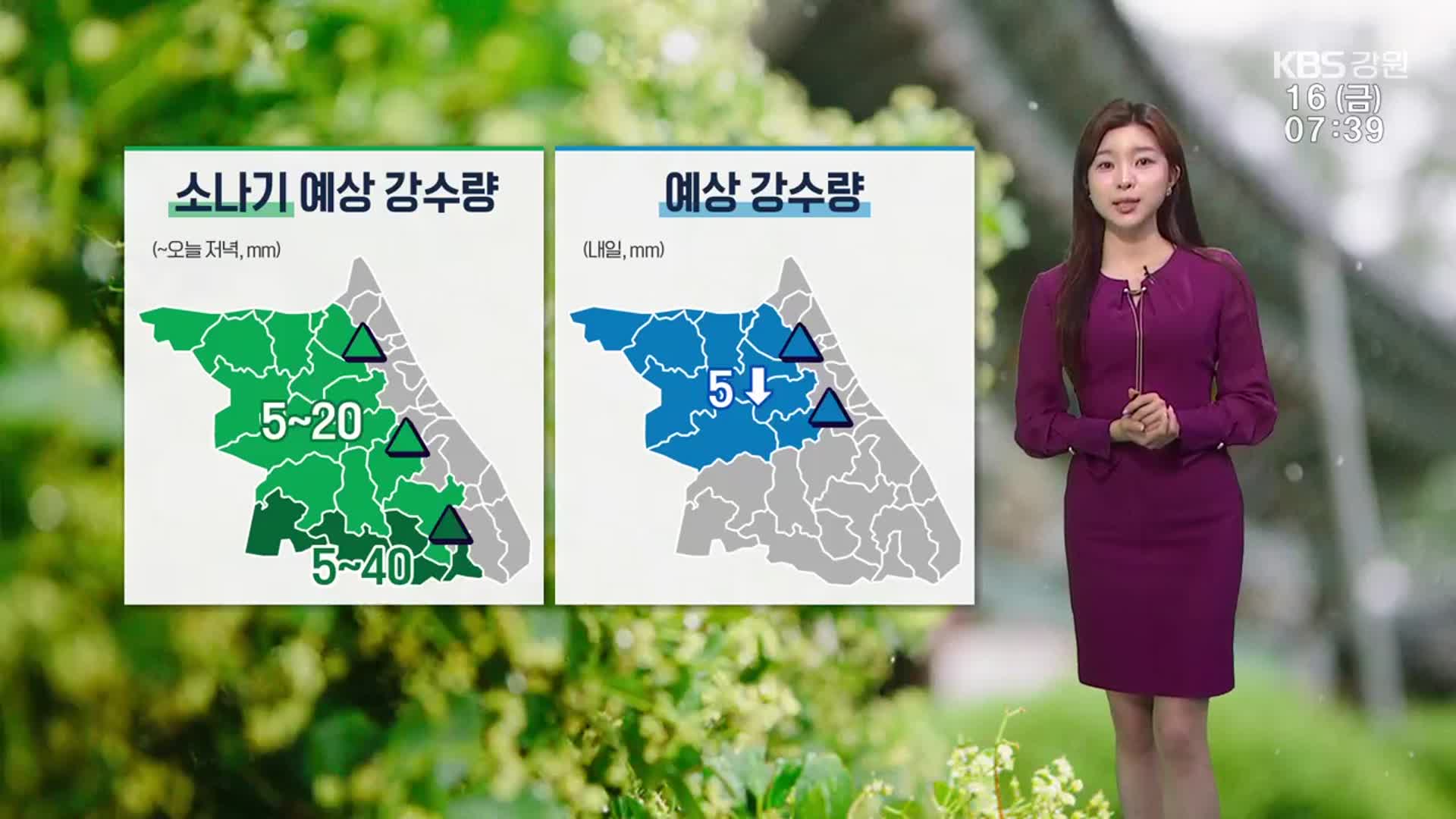 [날씨] 강원 저녁까지 5~40mm 소나기…돌풍·벼락·우박 주의
