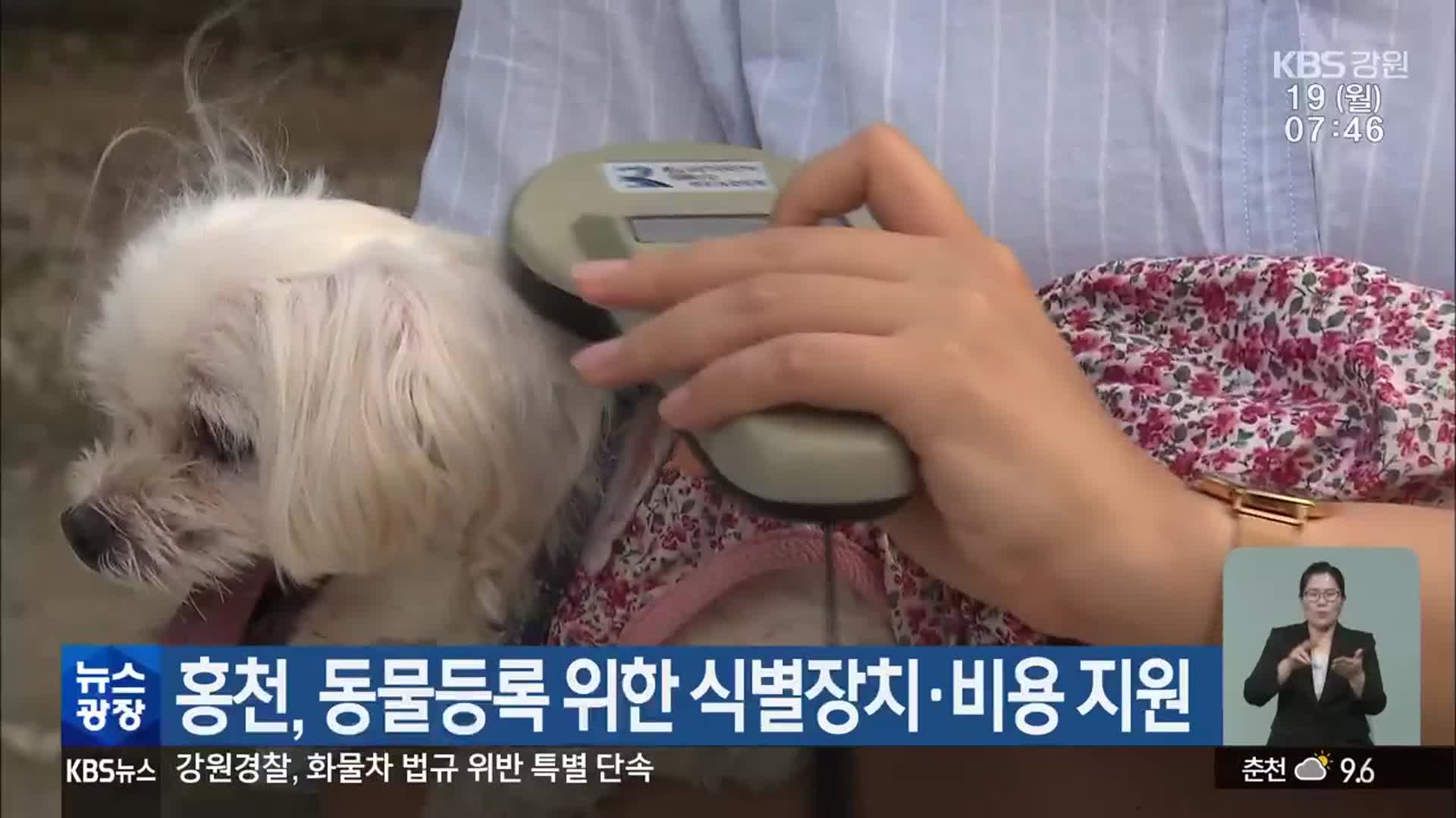 홍천, 동물등록 위한 식별장치·비용 지원