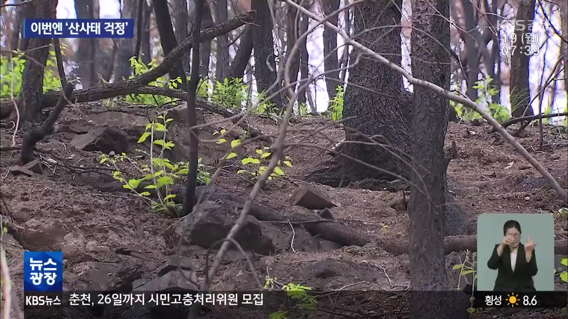 ‘산사태 위험 13%p 증가’…“산불 피해 철저 대비”
