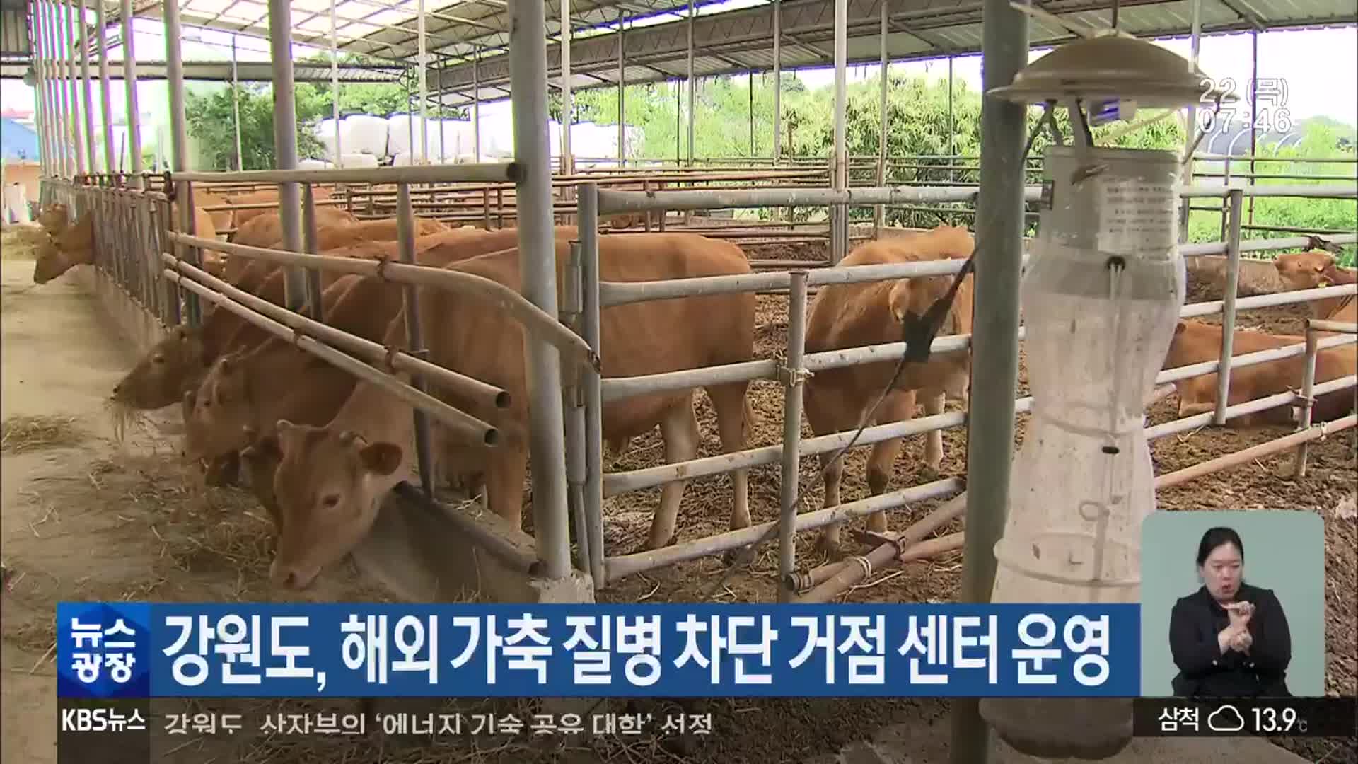 강원도, 해외 가축 질병 차단 거점 센터 운영