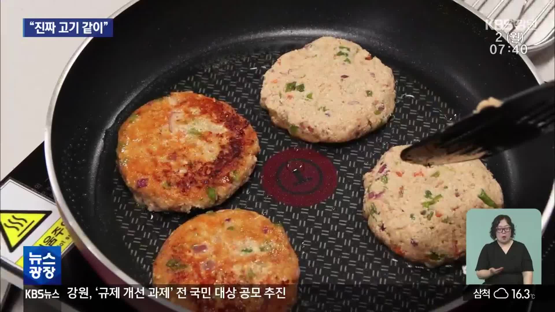 식물성 콩고기…진짜 고기 맛 살릴 비법 찾을까?