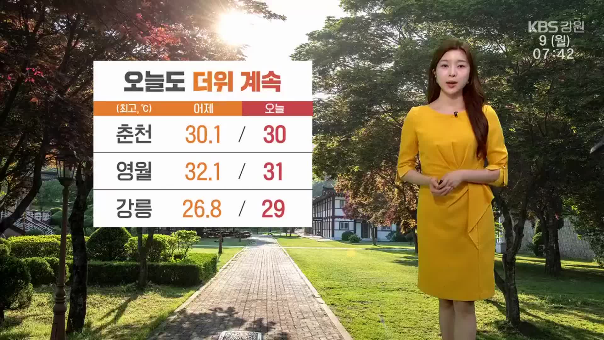 [날씨] 강원 오늘도 더위 계속…아침 내륙·산지 안개 주의