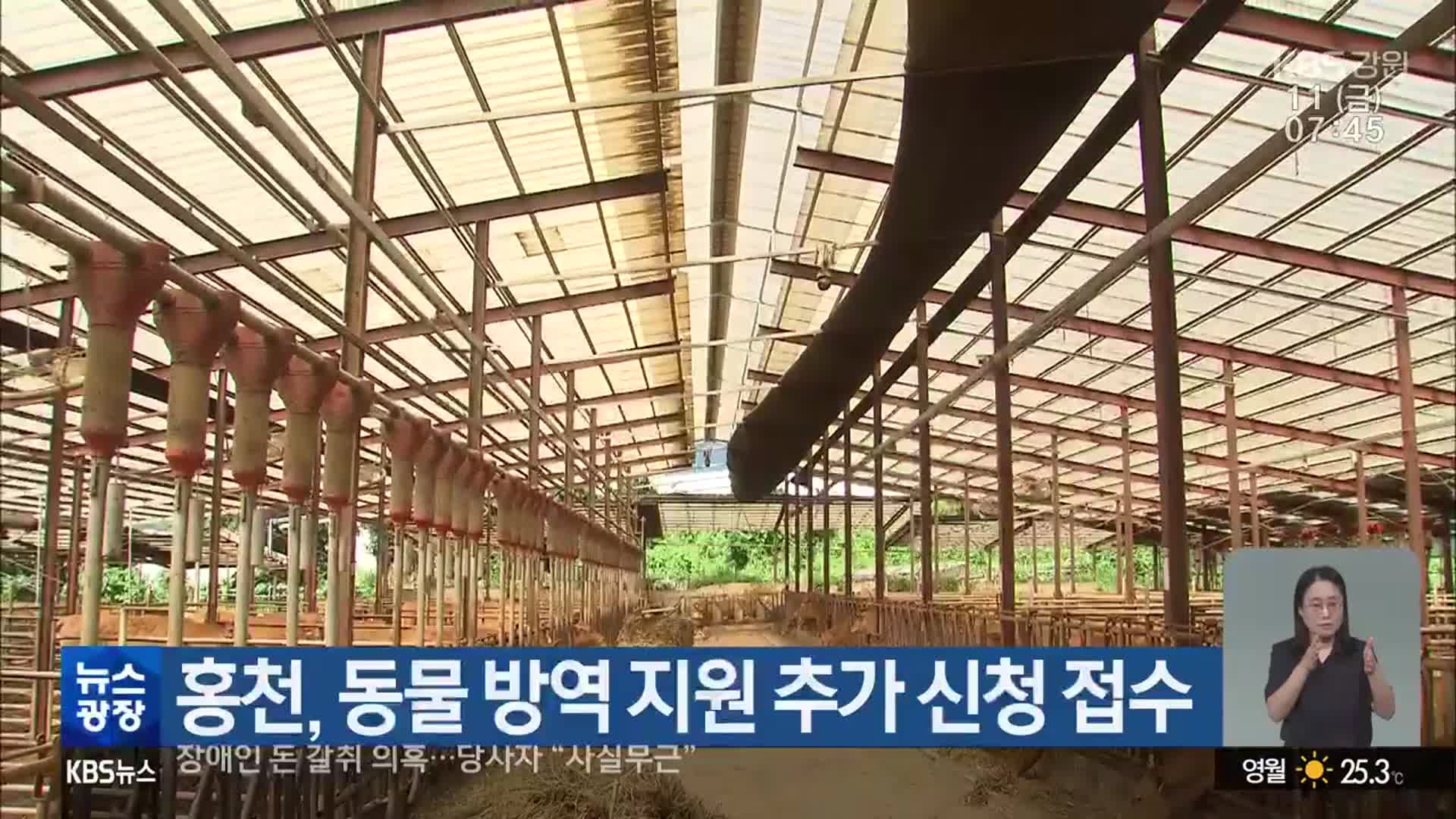 홍천, 동물 방역 지원 추가 신청 접수