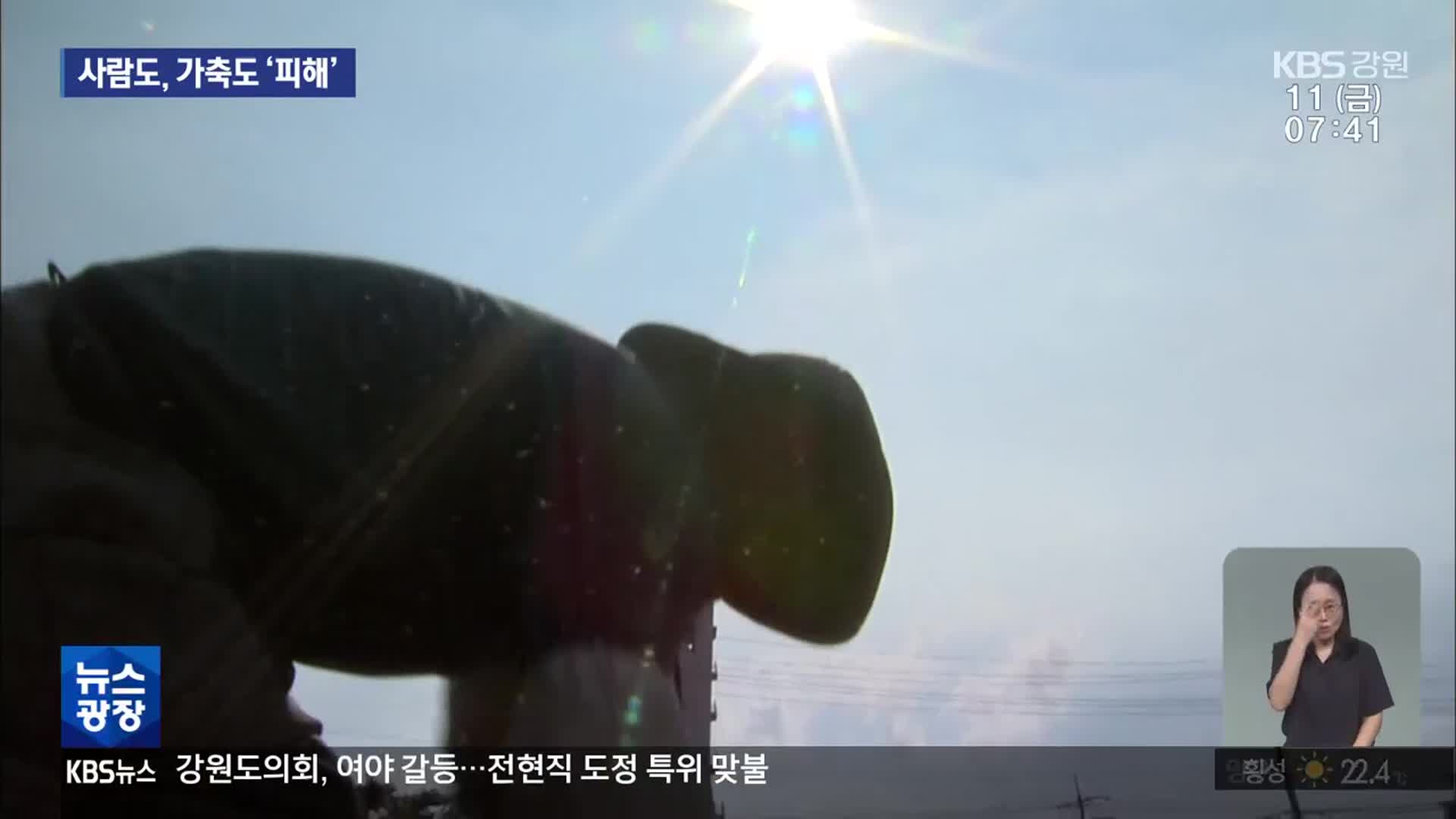 사람도 동물도 ‘헉헉’…폭염 피해 속출