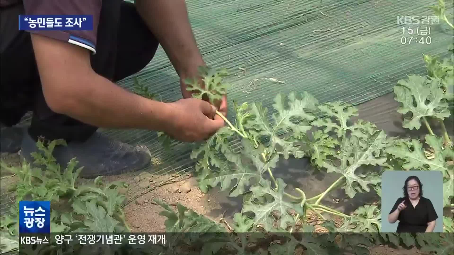 ‘브로커 지목’ 업체 대표 입건…농민도 줄줄이 조사