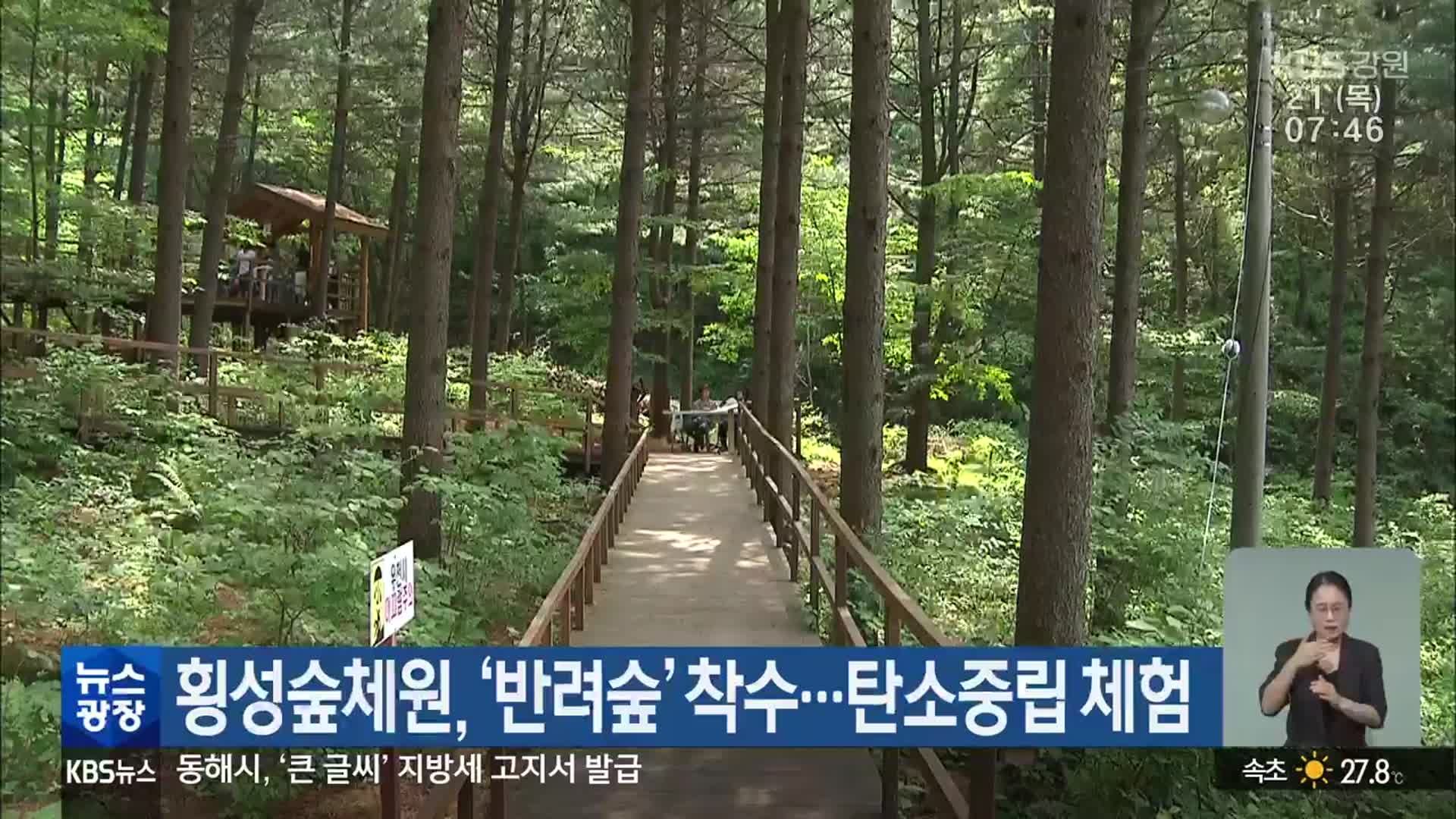 횡성숲체원, ‘반려숲’ 착수…탄소중립 체험
