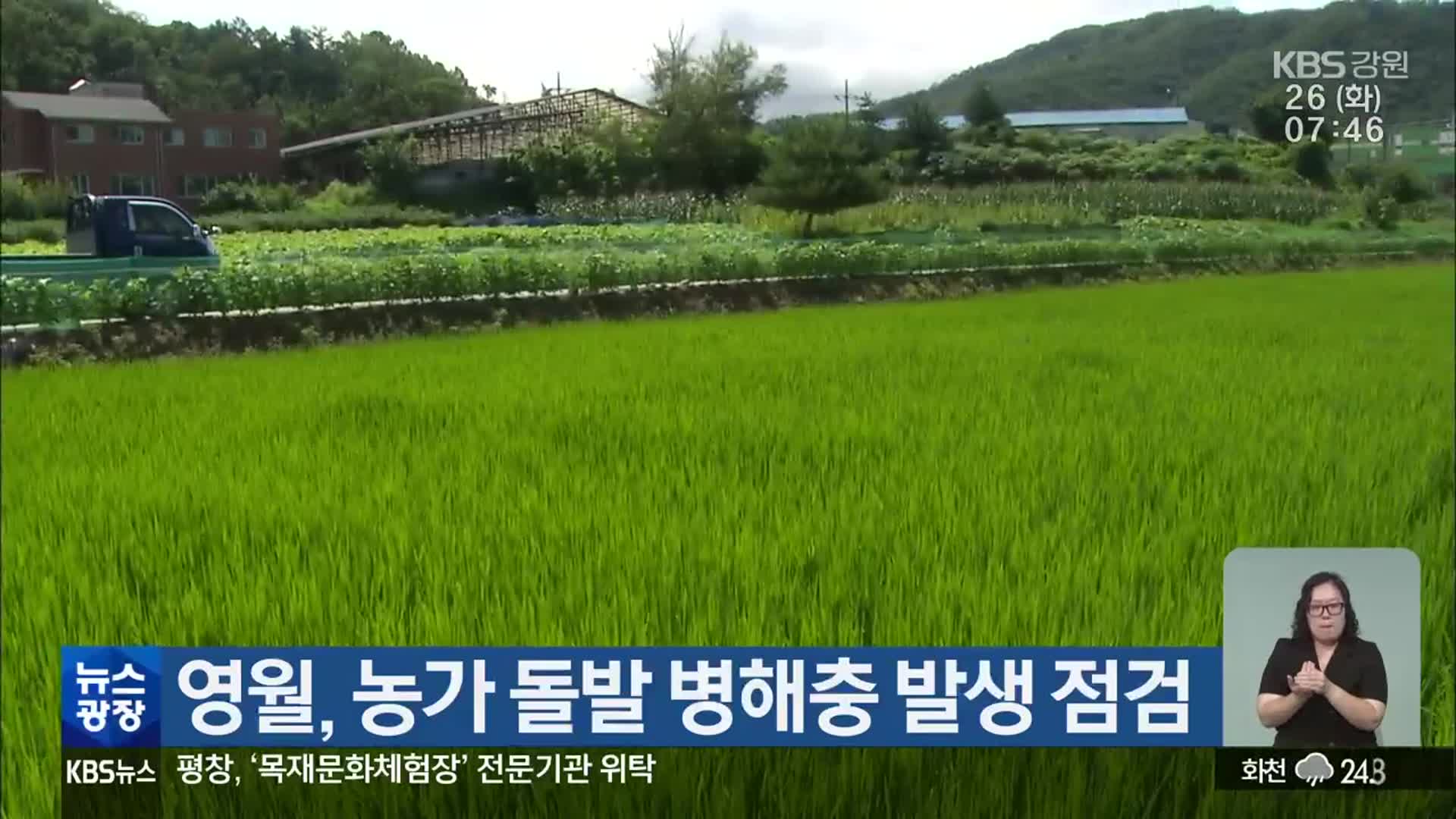 영월, 농가 돌발 병해충 발생 점검