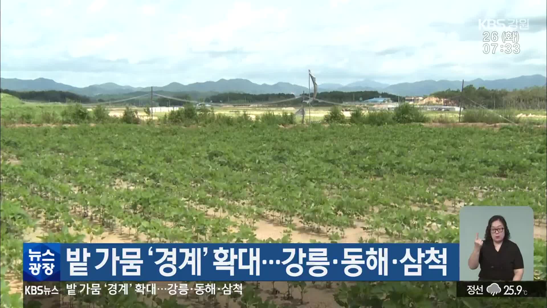 밭 가뭄 ‘경계’ 확대…강릉·동해·삼척