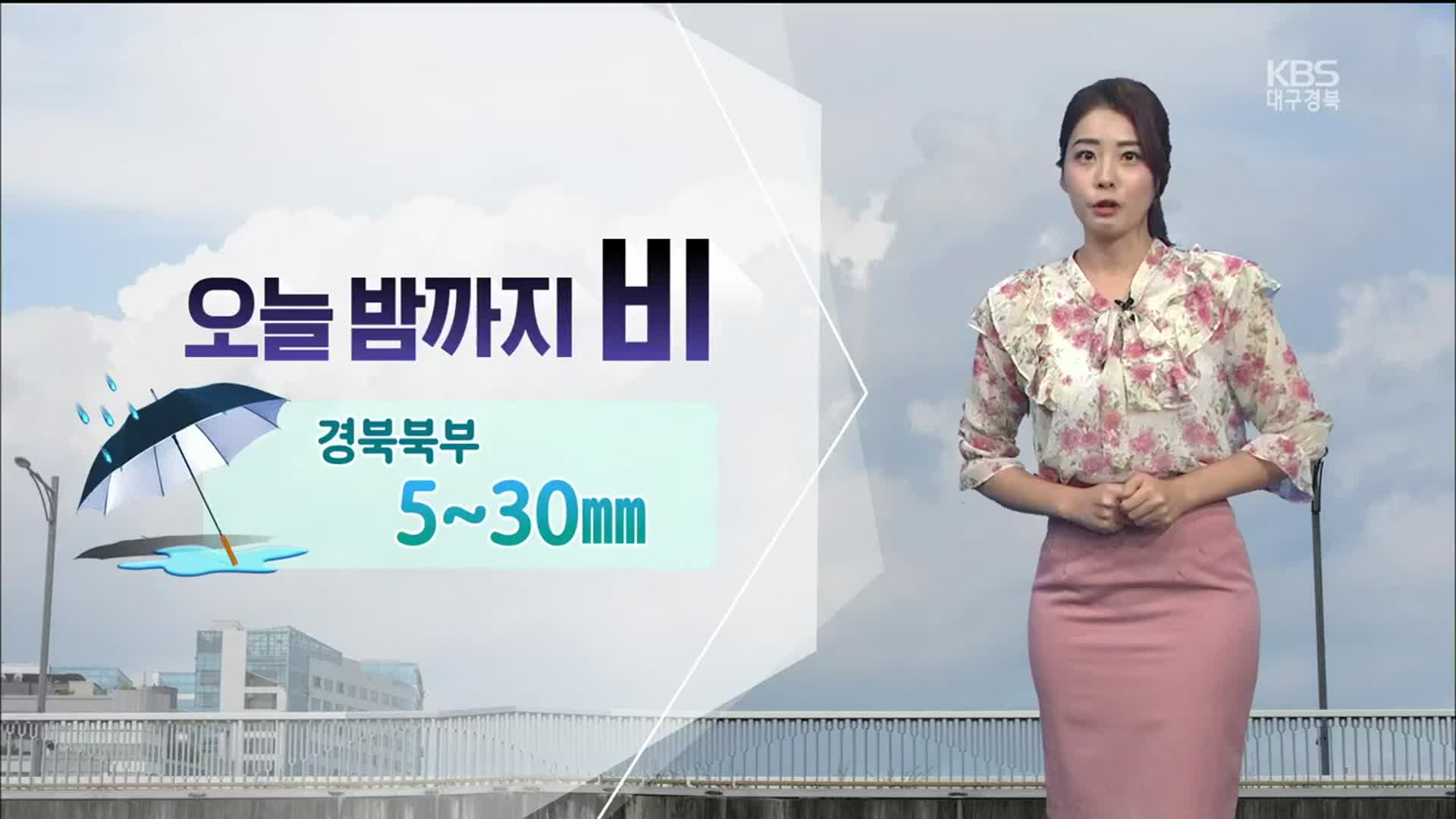 [날씨] 대구·경북 오늘 밤까지 비