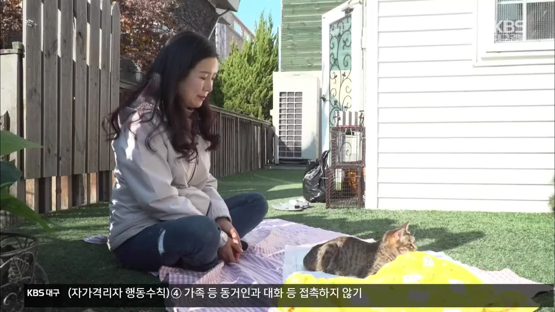 [컬러풀 도시탐험] 길고양이 돌봄 활동가 ‘이율리아’