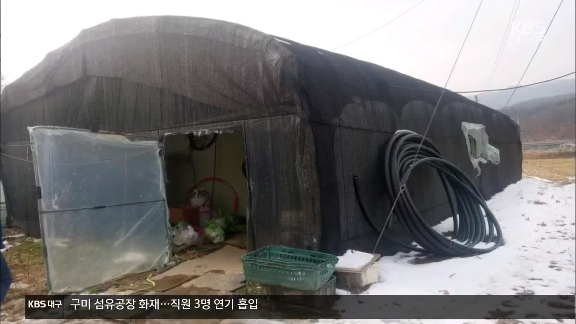 [여기는 안동] “비닐하우스 안돼”…외국인근로자 숙소 기준 강화