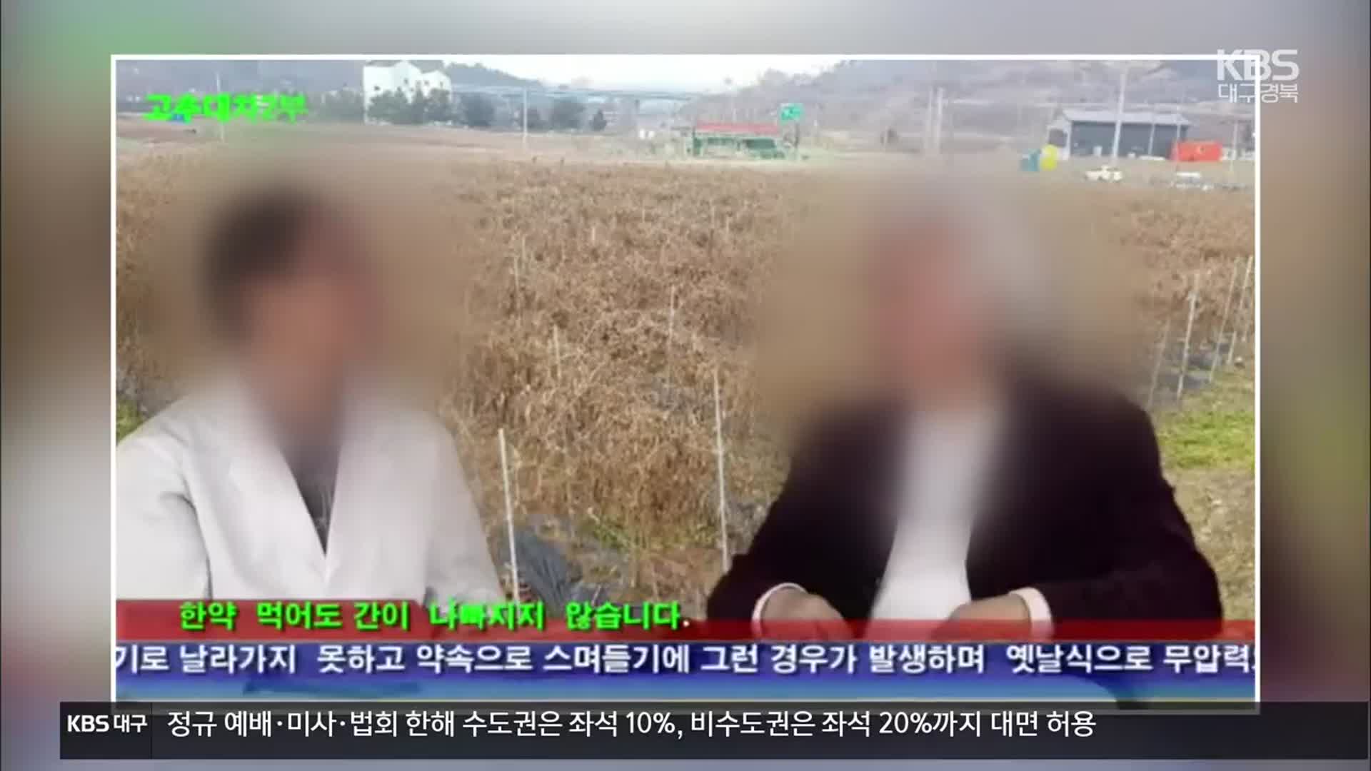 “고춧대 끓여 마시면 감염 예방”…한의사·업체 적발