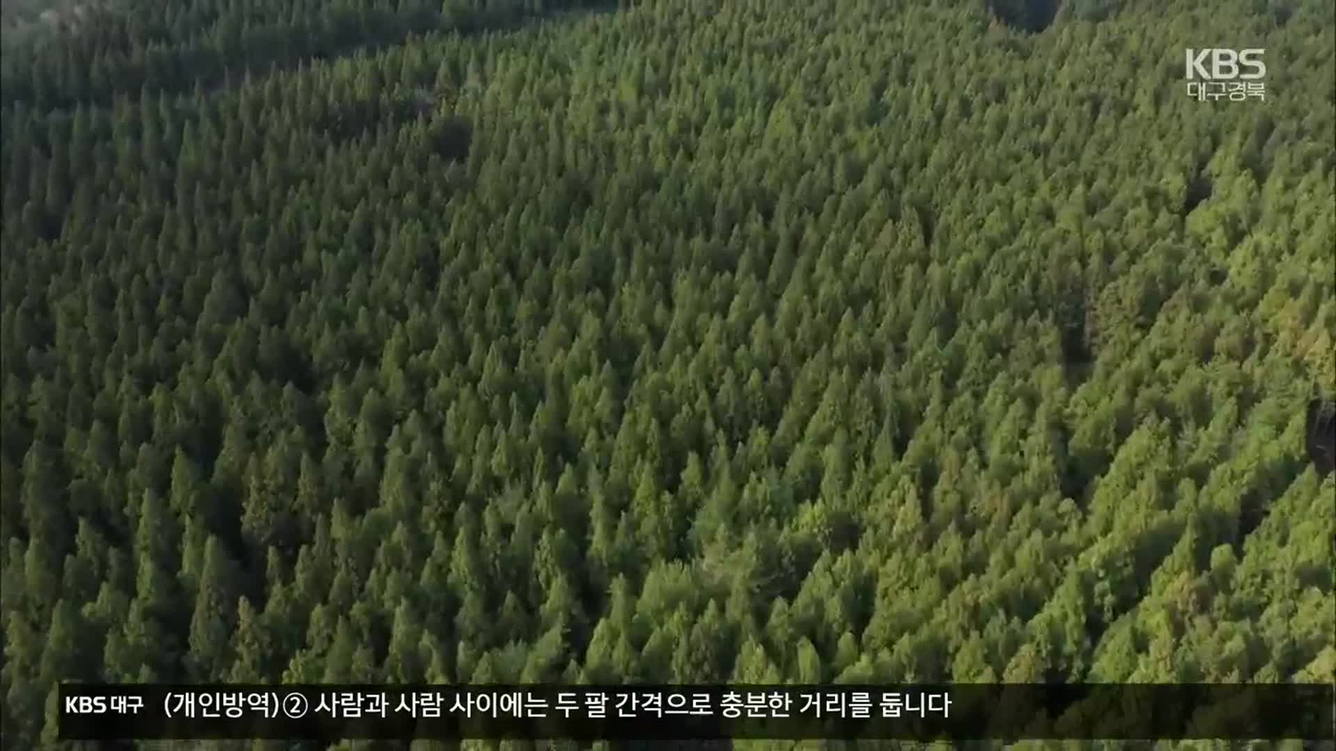“30년 동안 나무 30억 그루 심는다”