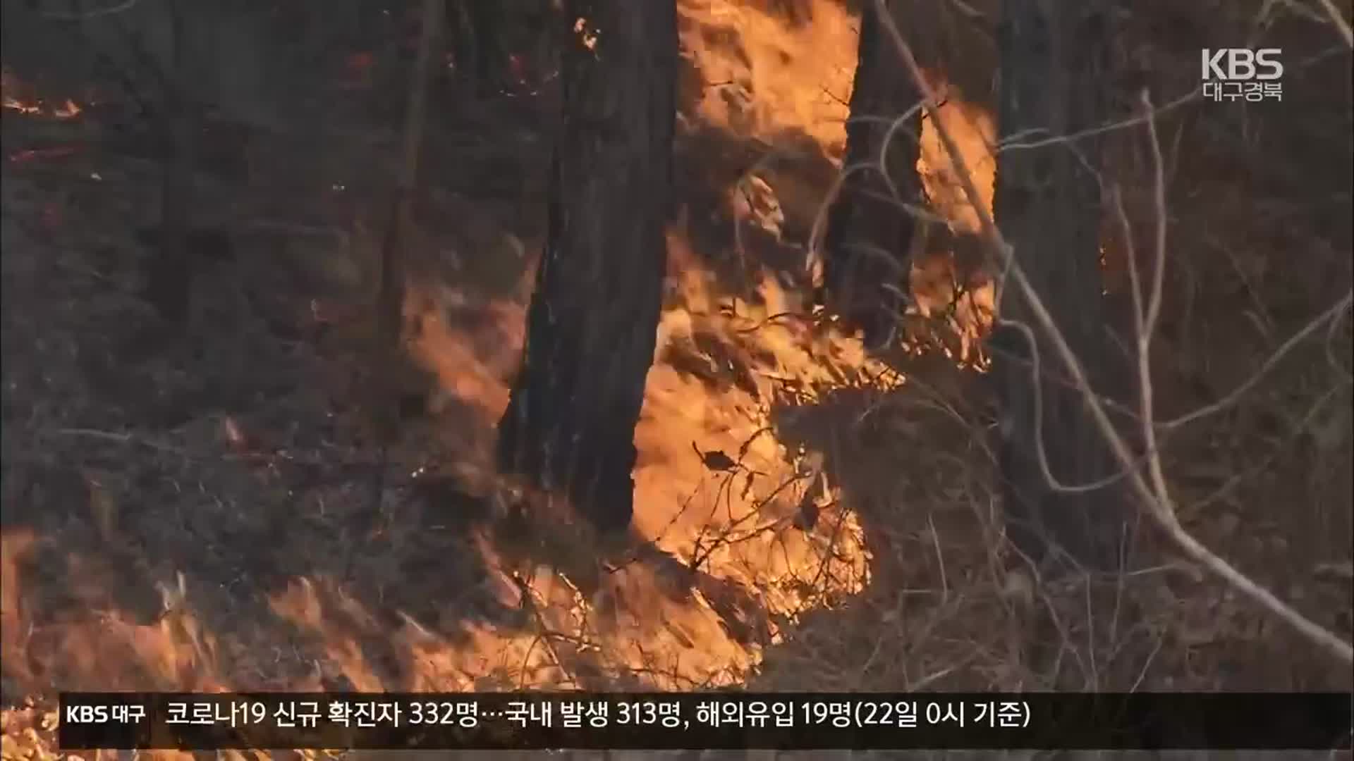 ‘안동 산불’ 하루 만에 큰불 잡혀…한때 민가와 문화재 위협