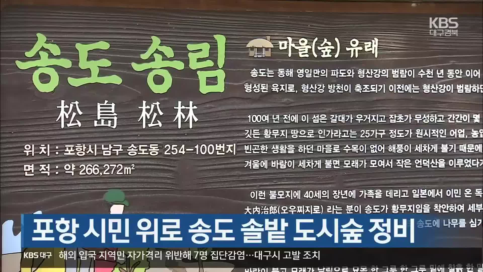 [여기는 포항] 포항 시민 위로 송도 솔밭 도시숲 정비 외