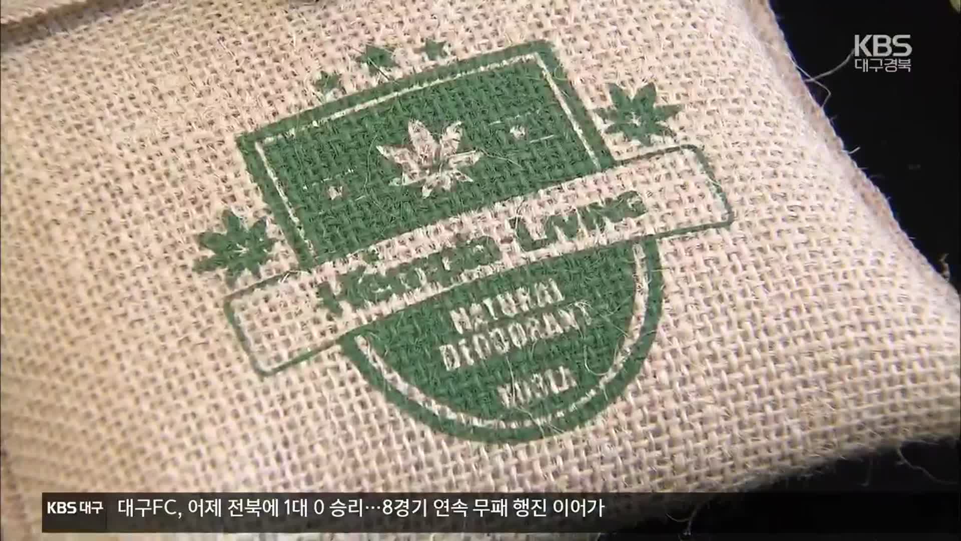 [여기는 안동] 안동 대마, 가공품 개발로 재배면적 급증