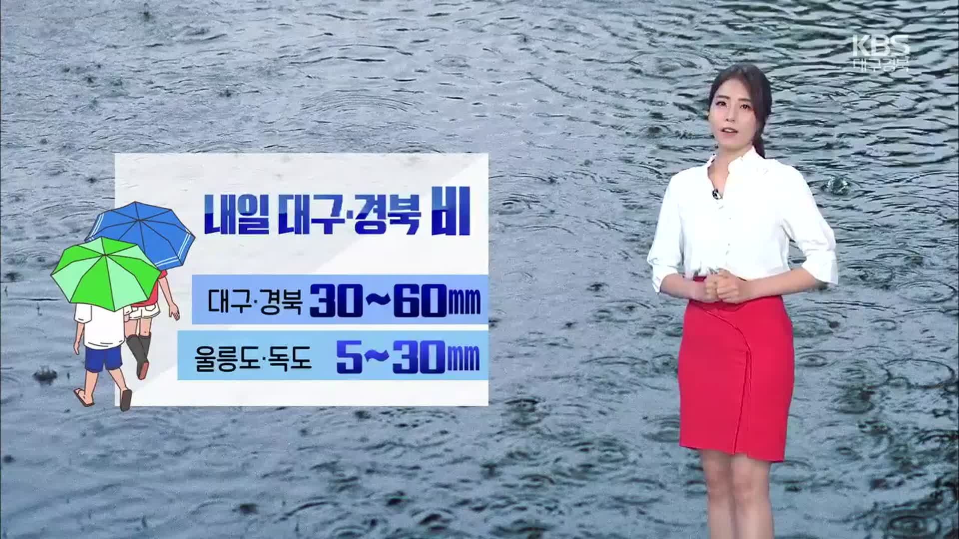 [날씨] 대구·경북 내일 비…울릉도·독도·경북 동해안 ‘강풍주의’
