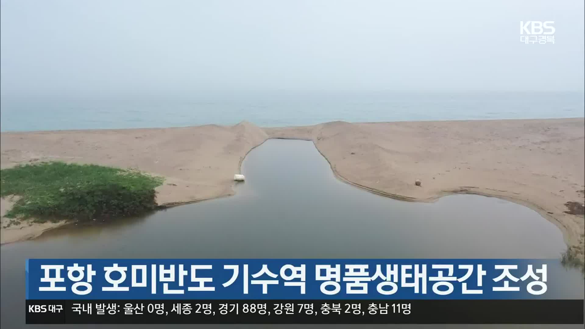 [여기는 포항] 포항 호미반도 기수역 명품생태공간 조성 외