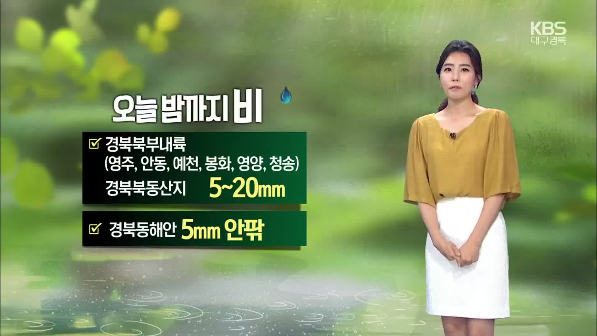 [날씨] 대구·경북 오늘 밤까지 비…내일 소나기