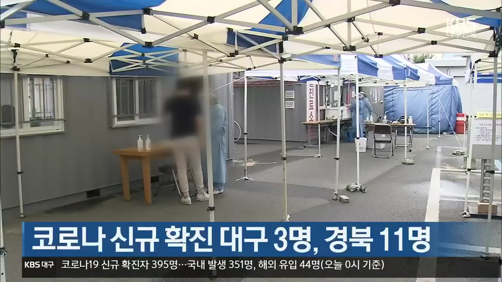 코로나19 신규 확진 대구 3명·경북 11명