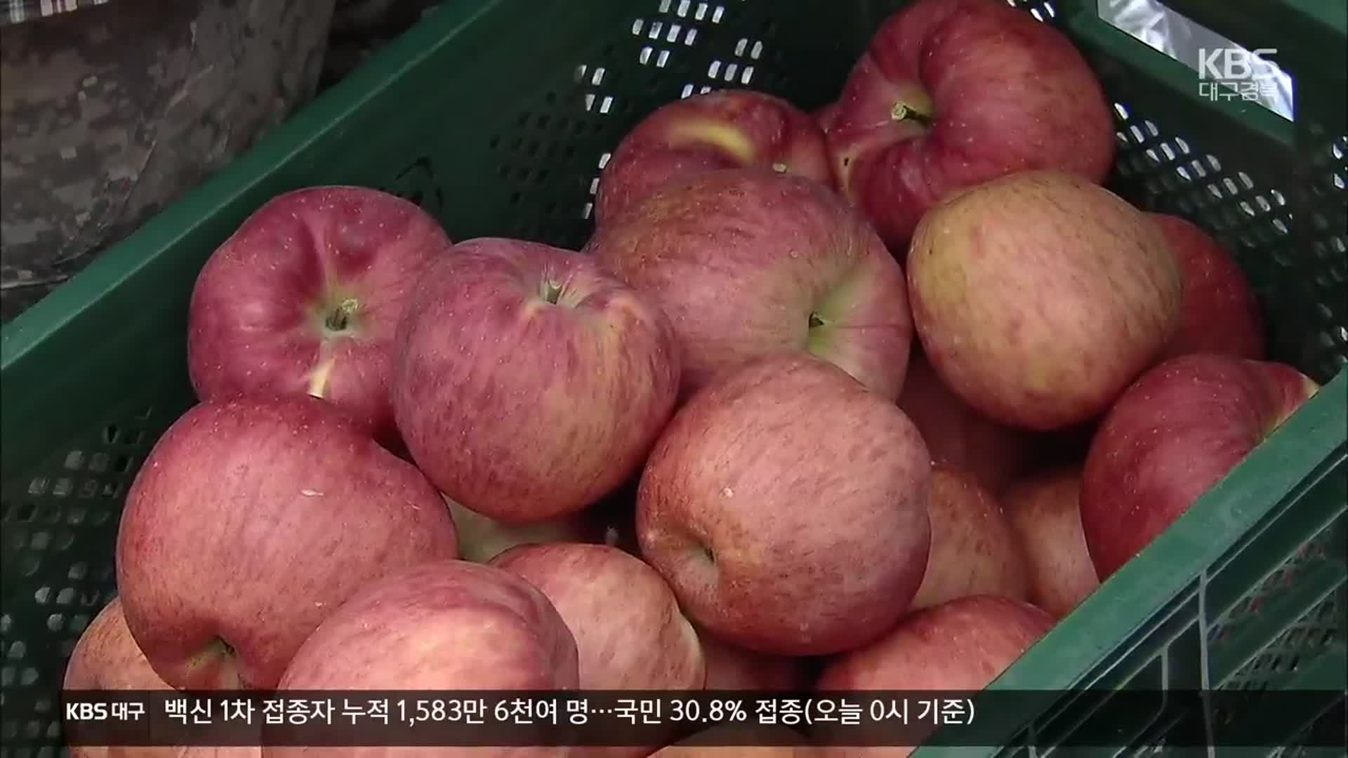 [여기는 안동] 청년들이 고향을 살린다