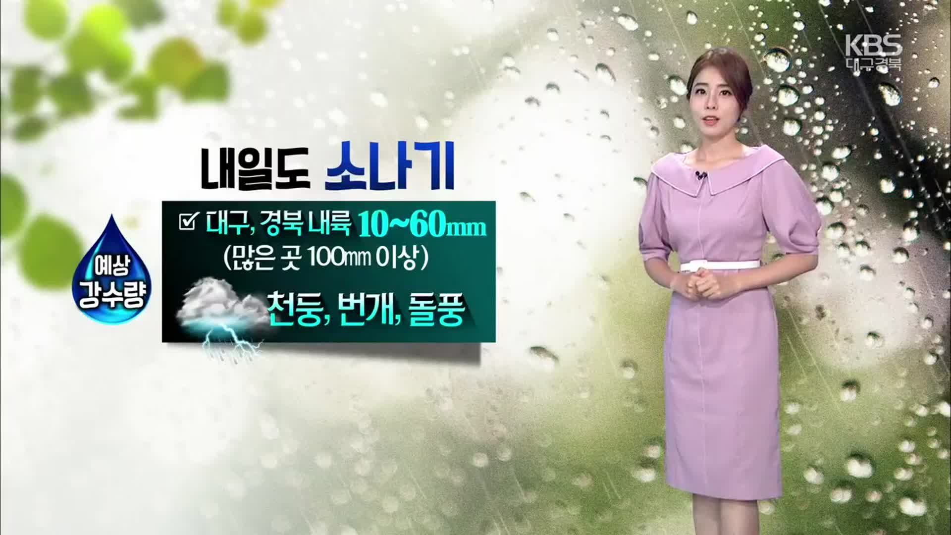 [날씨] 대구·경북 최대 100mm 소나기…천둥 번개 주의