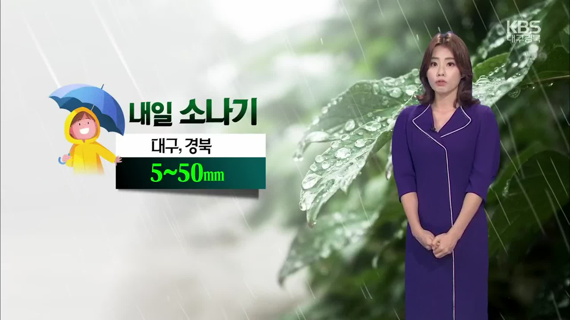 [날씨] 대구·경북, 내일 곳곳 소나기…계속되는 폭염특보