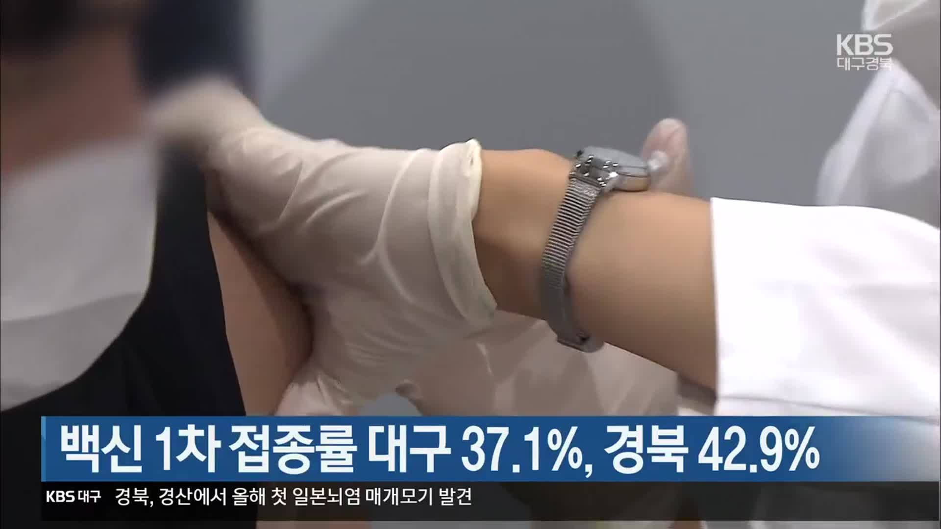 백신 1차 접종률 대구 37.1%, 경북 42.9%