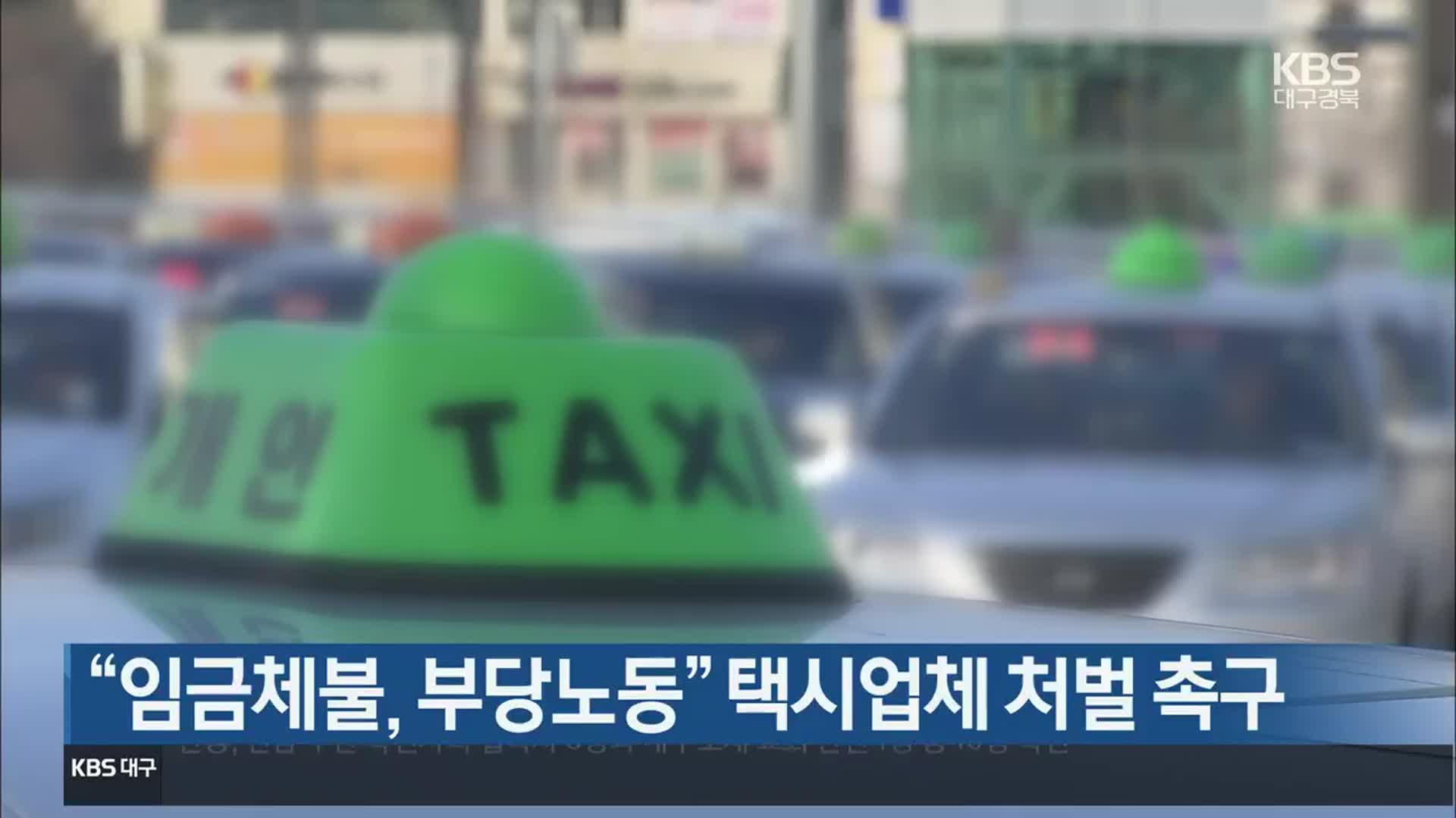 “임금체불, 부당노동” 택시업체 처벌 촉구