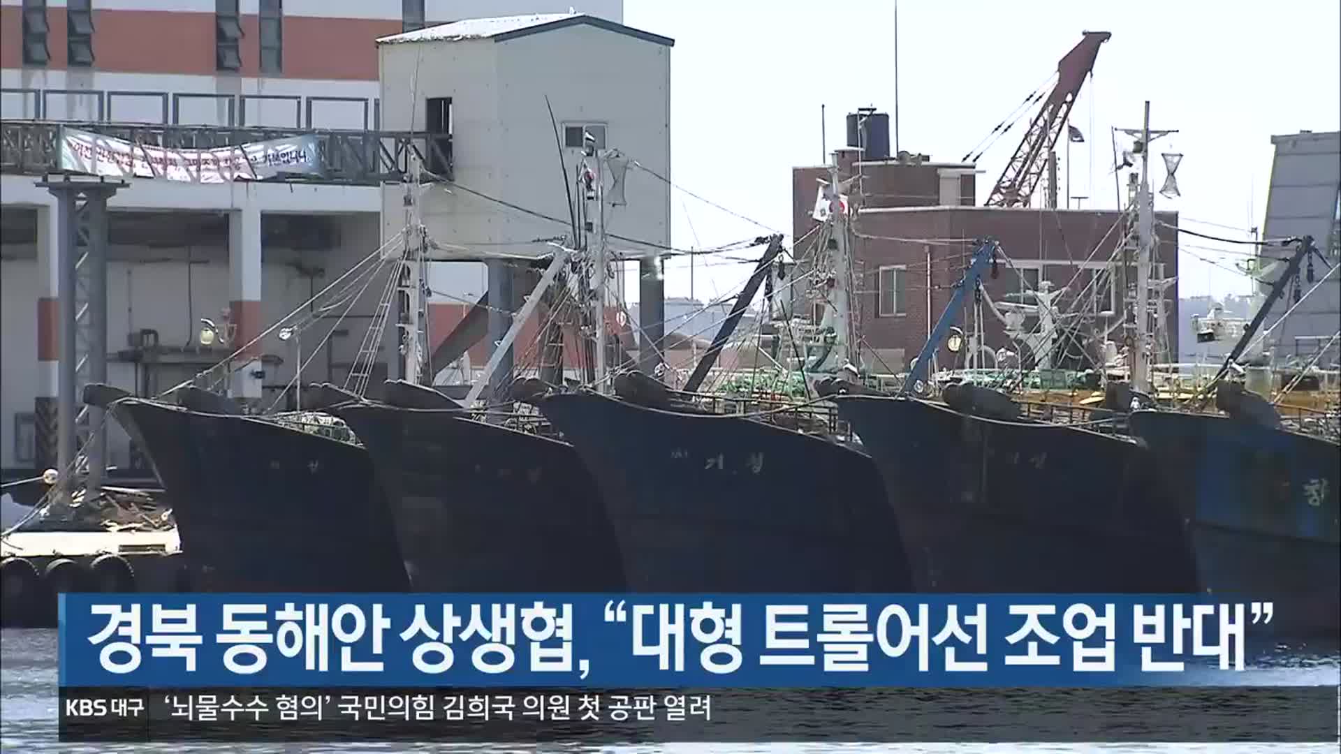 [여기는 포항] 경북 동해안 상생협, “대형 트롤어선 조업 반대” 외